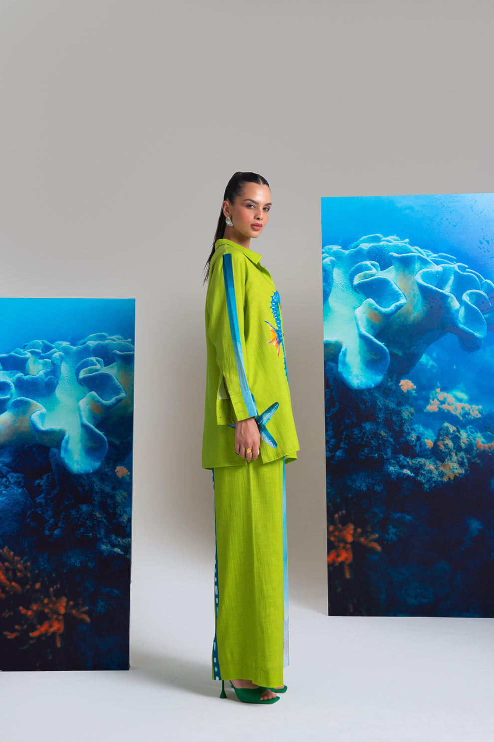 Nautanky Dancing seahorse